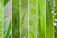 //irrorwxhopjklr5p-static.micyjz.com/cloud/lrBpjKrilrSRkllklmqqkq/applicationblog4.jpg